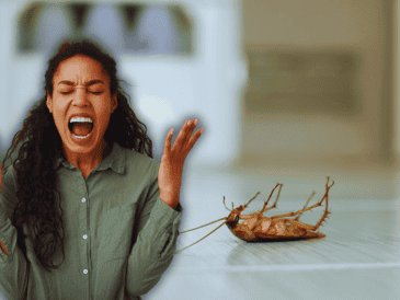 Las cucarachas buscan ambientes cálidos y húmedos, como cocinas y baños, donde pueden encontrar restos de alimentos y agua. ESPECIAL / CANVA