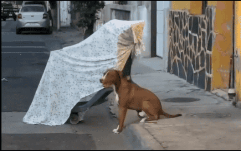 Al lugar llegaron paramédicos quienes confirmaron que el cuerpo de Don Mario no presentaba huellas de violencia, sin embargo, continúa la investigación respecto a su muerte. ESPECIAL