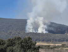 El presidente municipal afirmó que las autoridades estarán al pendiente y alertas, pues se estima que el 98% de los incendios son provocados. EL INFORMADOR/J. Velazco