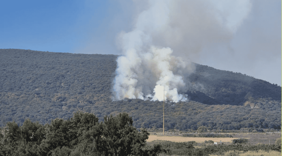 El presidente municipal afirmó que las autoridades estarán al pendiente y alertas, pues se estima que el 98% de los incendios son provocados. EL INFORMADOR/J. Velazco