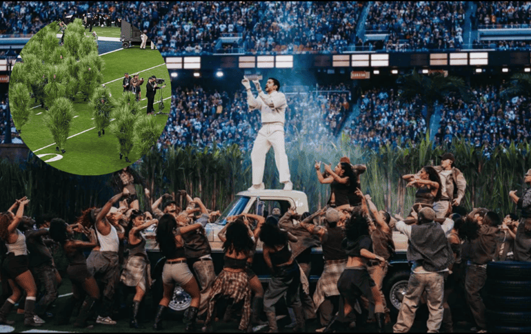 De fan a arbusto en el Super Bowl; joven revela cómo logró aparecer. EFE / ARCHIVO / ESPECIAL / TIKTOK