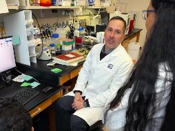Este análisis respalda el efecto positivo del levetiracetam para frenar la progresión de la patología de Alzhéimer. EFE/Universidad Northwestern