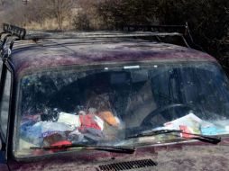 La medida forma parte de una estrategia integral para reducir la presencia de plagas en zonas urbanas. PEXELS