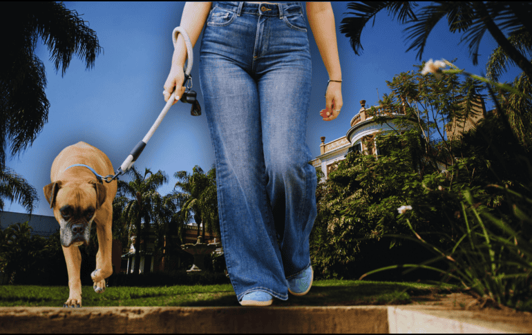 Un estímulo más para tomar la decisión, es que estamos próximos a la primavera y el espectáculo de floración en la vía es prometedor, porque cuenta con densidad en plantas y árboles que acompañan a las fincas. ESPECIAL / CANVA