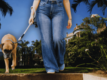 Un estímulo más para tomar la decisión, es que estamos próximos a la primavera y el espectáculo de floración en la vía es prometedor, porque cuenta con densidad en plantas y árboles que acompañan a las fincas. ESPECIAL / CANVA