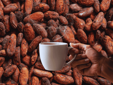 El café y el cacao juntos ofrecen una energía equilibrada y sostenida gracias a la cafeína y la teobromina. ESPECIAL / CANVA
