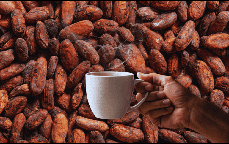 El café y el cacao juntos ofrecen una energía equilibrada y sostenida gracias a la cafeína y la teobromina. ESPECIAL / CANVA
