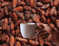 El café y el cacao juntos ofrecen una energía equilibrada y sostenida gracias a la cafeína y la teobromina. ESPECIAL / CANVA