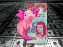 Hoy, la mejor opción en la compra del dólar —en este momento de la mañana, a las 07:30 horas— es en Banamex; y la venta, en BBVA Bancomer. ESPECIAL / CANVA