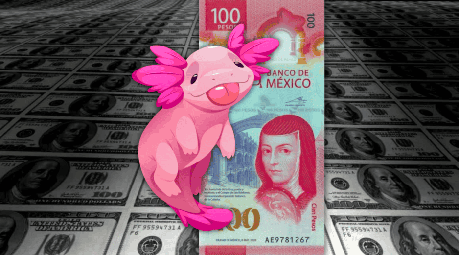 Hoy, la mejor opción en la compra del dólar —en este momento de la mañana, a las 07:30 horas— es en Banamex; y la venta, en BBVA Bancomer. ESPECIAL / CANVA