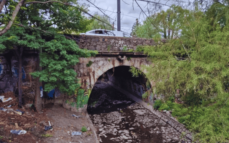 &nbsp;EL INFORMADOR / F. Salcedo