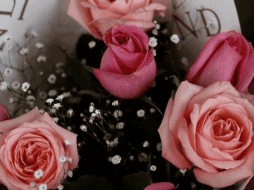 Regalar rosas el 14 de febrero es una tradición que simboliza amor, belleza y respeto. ESPECIAL/Gobierno de Jalisco