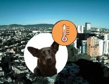 Gran parte de México, incluiyendo Guadalajara, será afectado por la circulación anticiclónica, lo que propiciará afectaciones en las temperaturas. UNSPLASH / D. Lezcano / ESPECIAL / Webcams de México