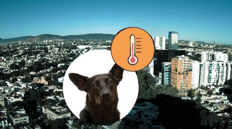 Gran parte de México, incluiyendo Guadalajara, será afectado por la circulación anticiclónica, lo que propiciará afectaciones en las temperaturas. UNSPLASH / D. Lezcano / ESPECIAL / Webcams de México