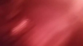 Incendio fatal en vivienda de Polanco, Guadalajara. ESPECIAL UEPCBJ