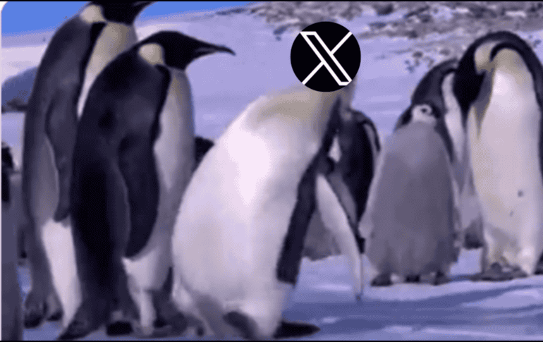 La interrupción no pasó desapercibida: rápidamente se desató una ola de memes en otras plataformas, con usuarios compartiendo burlas y comentarios cargados de humor sobre la situación. ESPECIAL