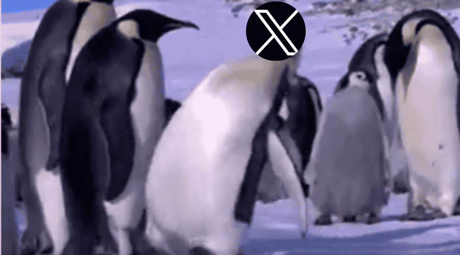 La interrupción no pasó desapercibida: rápidamente se desató una ola de memes en otras plataformas, con usuarios compartiendo burlas y comentarios cargados de humor sobre la situación. ESPECIAL