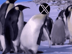 La interrupción no pasó desapercibida: rápidamente se desató una ola de memes en otras plataformas, con usuarios compartiendo burlas y comentarios cargados de humor sobre la situación. ESPECIAL