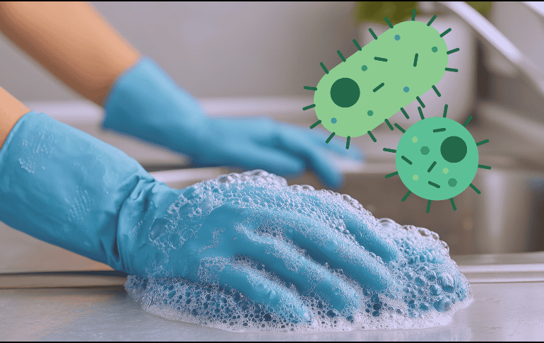 La higiene constante en determinados puntos críticos puede reducir significativamente el riesgo de enfermedades gastrointestinales. ESPECIAL