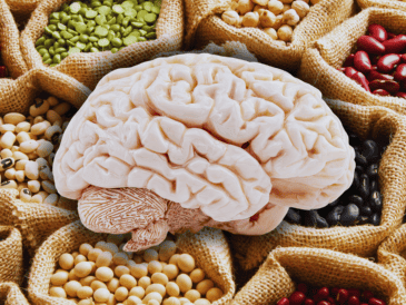 Uno de los alimentos más recomendados para el cuidado de la salud cerebral son las legumbres entre las que se incluyen garbanzos, frijoles, judías, lentejas, soja, habas y guisantes, entre otros. ESPECIAL / CANVA