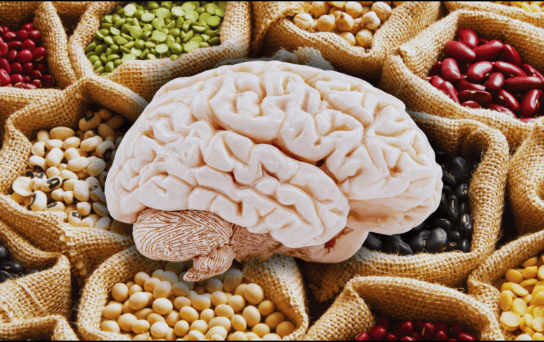 Uno de los alimentos más recomendados para el cuidado de la salud cerebral son las legumbres entre las que se incluyen garbanzos, frijoles, judías, lentejas, soja, habas y guisantes, entre otros. ESPECIAL / CANVA