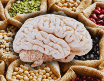 Uno de los alimentos más recomendados para el cuidado de la salud cerebral son las legumbres entre las que se incluyen garbanzos, frijoles, judías, lentejas, soja, habas y guisantes, entre otros. ESPECIAL / CANVA