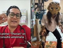 Los Therian están invadiendo las redes sociales. ESPECIAL / TikTok