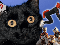 La mayoría de los integrantes reconoce que no existen procedimientos para alterar el cuerpo humano y convertirlo en el de otro animal. ESPECIAL