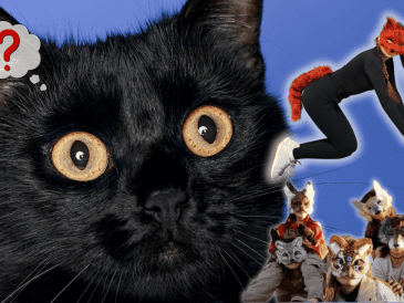 La mayoría de los integrantes reconoce que no existen procedimientos para alterar el cuerpo humano y convertirlo en el de otro animal. ESPECIAL