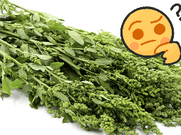 El huauzontle es un alimento rico en proteínas, fibra, calcio, hierro, fósforo y vitaminas A, C, E y del complejo B. ESPECIAL