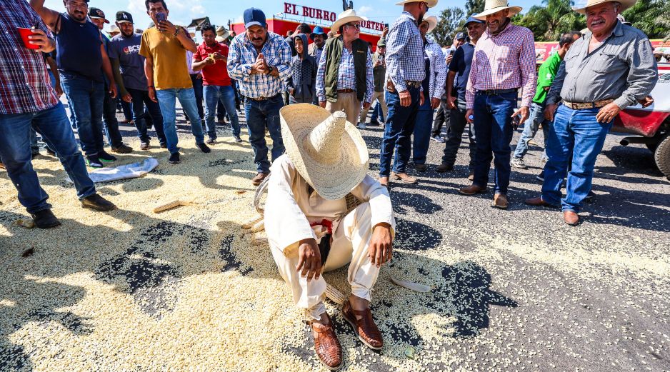 México consume más de 47 mil toneladas de maíz anualmente de las cuales se importan alrededor de 25 mil. EL INFORMADOR/ARCHIVO
