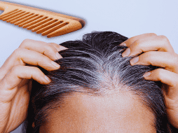 Aunque se sienten más gruesas, las canas no son necesariamente más fuertes. ESPECIAL / CANVA