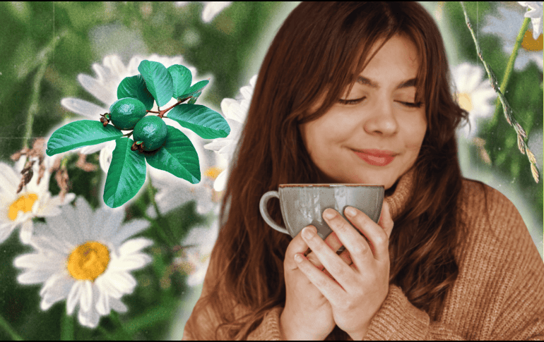 Las hojas de guayaba con manzanilla a modo de infusión es una bebida ampliamente recomendada. ESPECIAL/Freepik/Canva/Pixabay