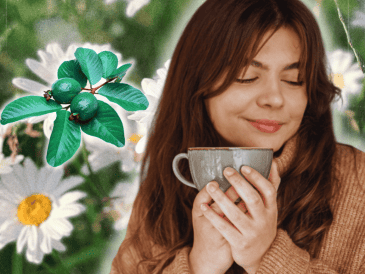 Las hojas de guayaba con manzanilla a modo de infusión es una bebida ampliamente recomendada. ESPECIAL/Freepik/Canva/Pixabay