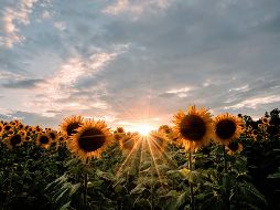 La ubicación de Rancho San Juan Diego es: Camino Potrero San Juan 4, San Sebastián el Grande, Tlajomulco de Zúñiga. Unsplash