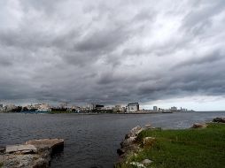 De acuerdo con la Presidenta Claudia Sheinbaum, estas acciones se basan en los principios constitucionales de política exterior. EFE / ARCHIVO