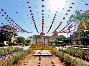 Jalisco tuvo un crecimiento en visitantes, derrama económica, conectividad aérea e inversión hotelera. CORTESÍA.
