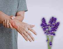 La lavanda es una planta con propiedades medicinales y relajantes. ESPECIAL / CANVA