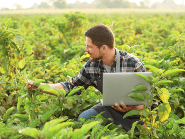 El Día del Agrónomo no solo celebra una profesión, sino también la vocación de quienes trabajan para fortalecer el desarrollo rural. CANVA