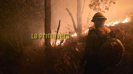 Hasta el momento se desconoce la causa del incendio. ESPECIAL / Protección Civil Jalisco