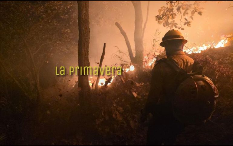 Hasta el momento se desconoce la causa del incendio. ESPECIAL / Protección Civil Jalisco