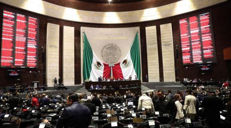 El dictamen se aprobó sin modificaciones y contempla una implementación paulatina hasta 2030. EFE/ Madla Hartz