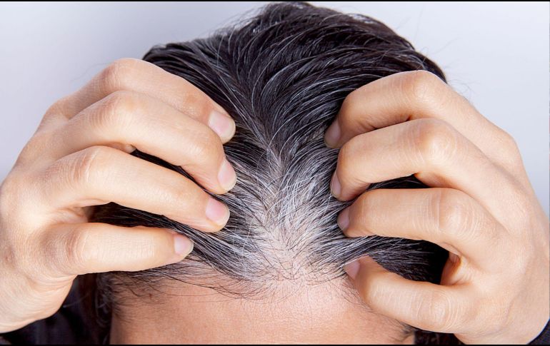 Las canas son naturales y no siempre aparecen por edad, también influyen la genética. CANVA