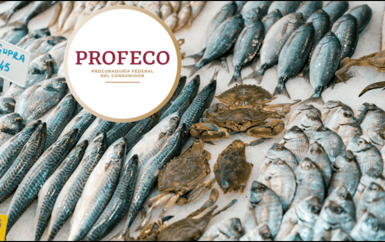 Los tips que comparte la institución abarca para todo los tipos de mariscos, como pescado,  camarones, moluscos, ostiones, etc. CANVA PROFECO