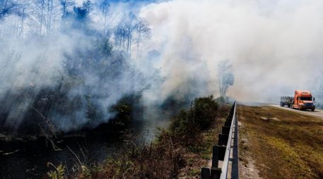 El siniestro permanecía sin control hasta la mañana de este martes y avanzaba en el condado de Collier. EFE/CRISTOBAL HERRERA-ULASHKEVICH