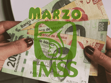 La Pensión del IMSS será transferida de manera automática a las cuentas registradas por los beneficiarios. EL INFORMADOR/ARCHIVO