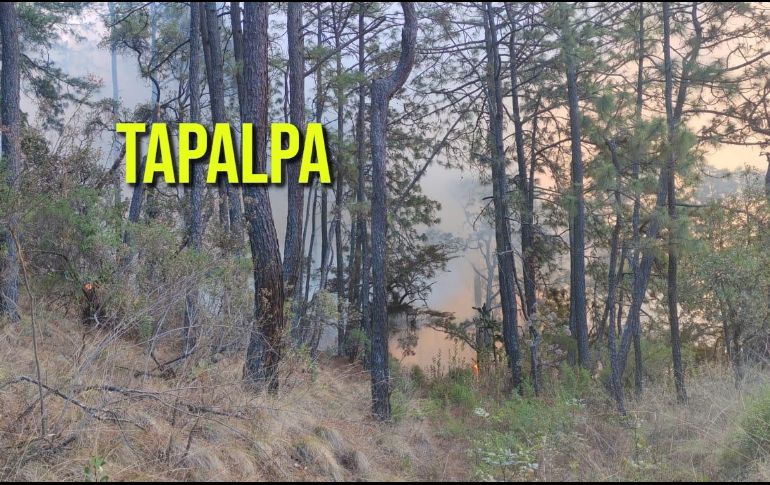 Reportan incendio activo en Tapalpa. ESPECIAL / FACEBOOK Protección Civil Jalisco