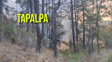 Reportan incendio activo en Tapalpa. ESPECIAL / FACEBOOK Protección Civil Jalisco