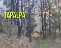 Reportan incendio activo en Tapalpa. ESPECIAL / FACEBOOK Protección Civil Jalisco