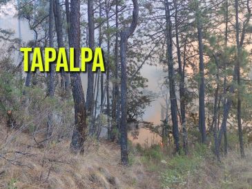 Reportan incendio activo en Tapalpa. ESPECIAL / FACEBOOK Protección Civil Jalisco
